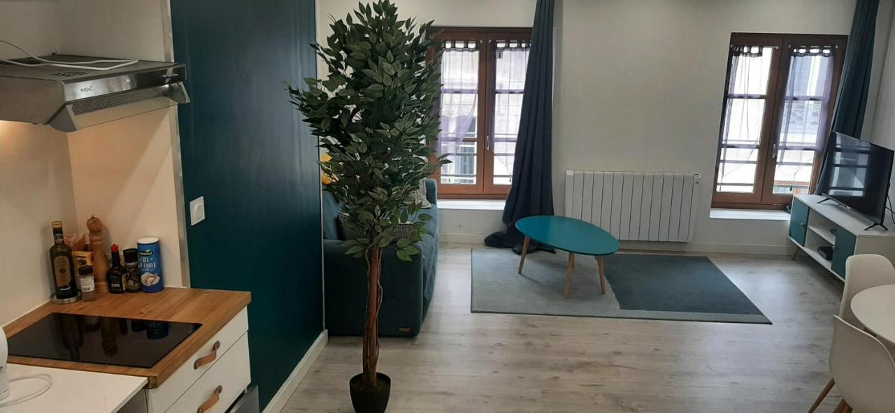 Appartement Netflix centre de Vienne près de Lyon Esterno foto